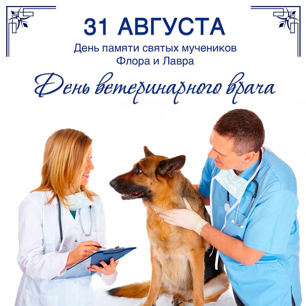 Поздравления С Днем Рождения Женщине Ветеринару