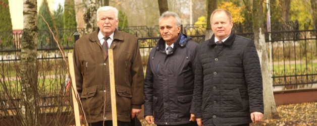 The Friendship tree in the territory of the Academy