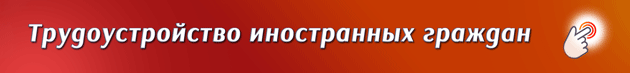 BANNER-Trudoustroistvo-inostrannykh-grazhdan-2023-ANIMATCIIa