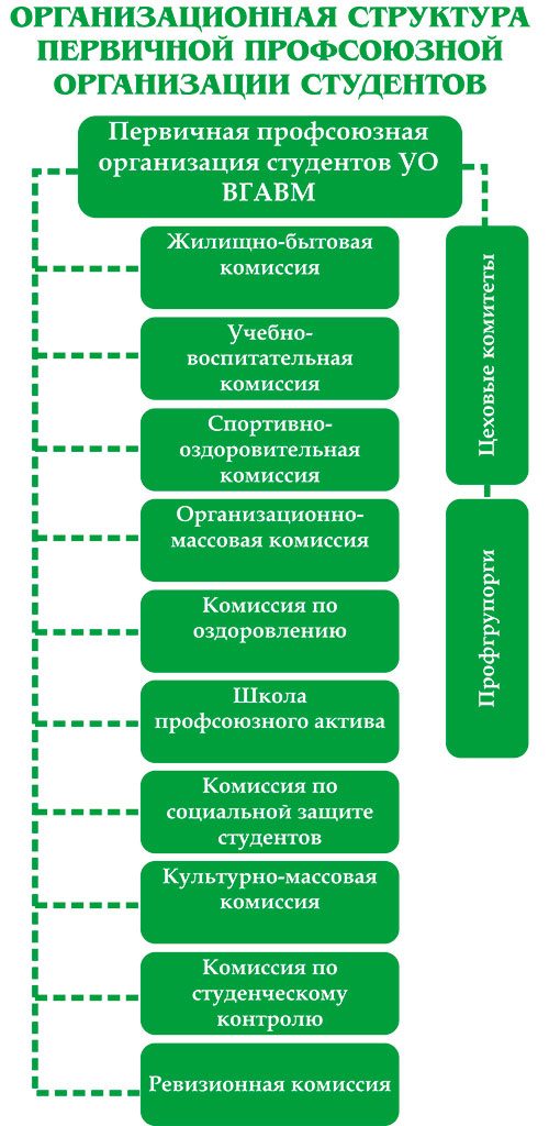 организационная структура