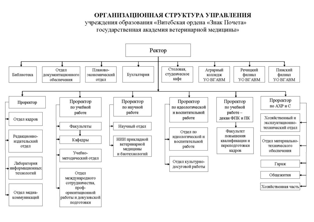 Orgstruktura UO VGAVM 2025__poslednee 07.08.2025
