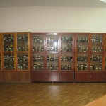 Проспект музея кафедры  патологической анатомии и гистологии  