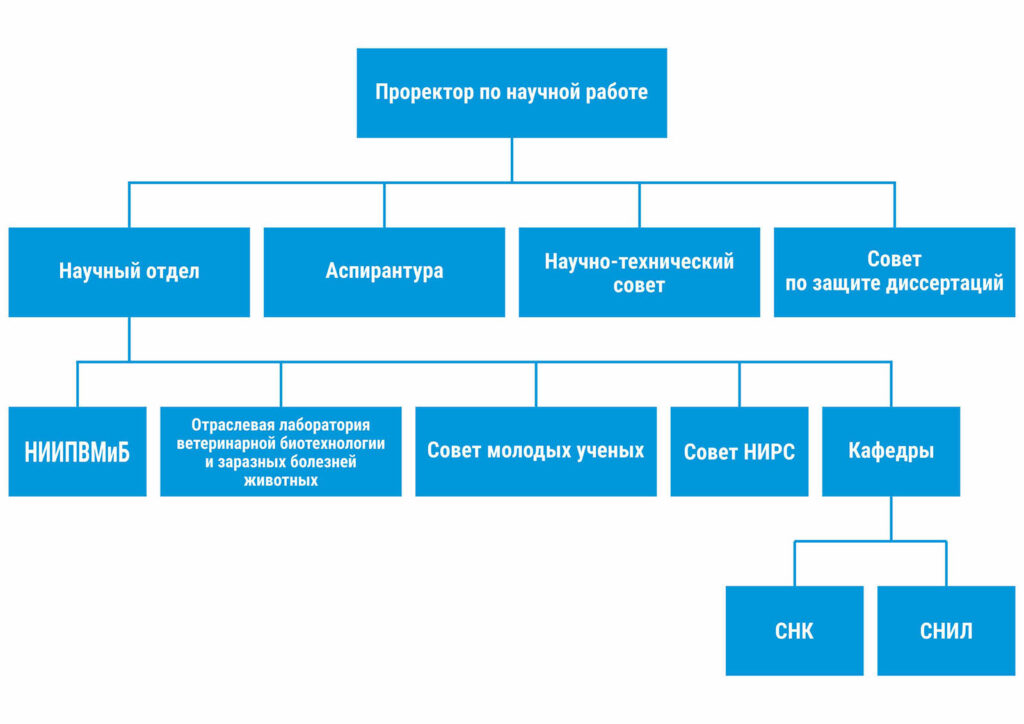 Структура отдела