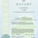 Patent 24393