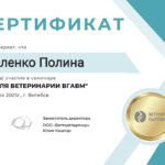 Sertifikat Strelenko P.A.