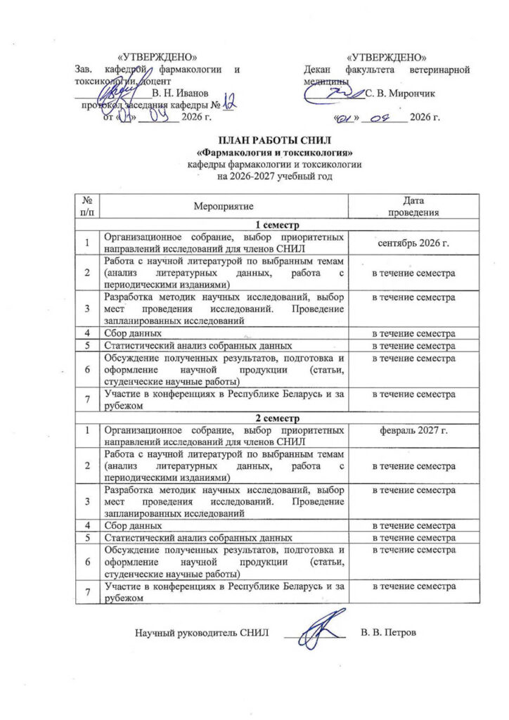 Plan raboty SNIL-2026-09-08