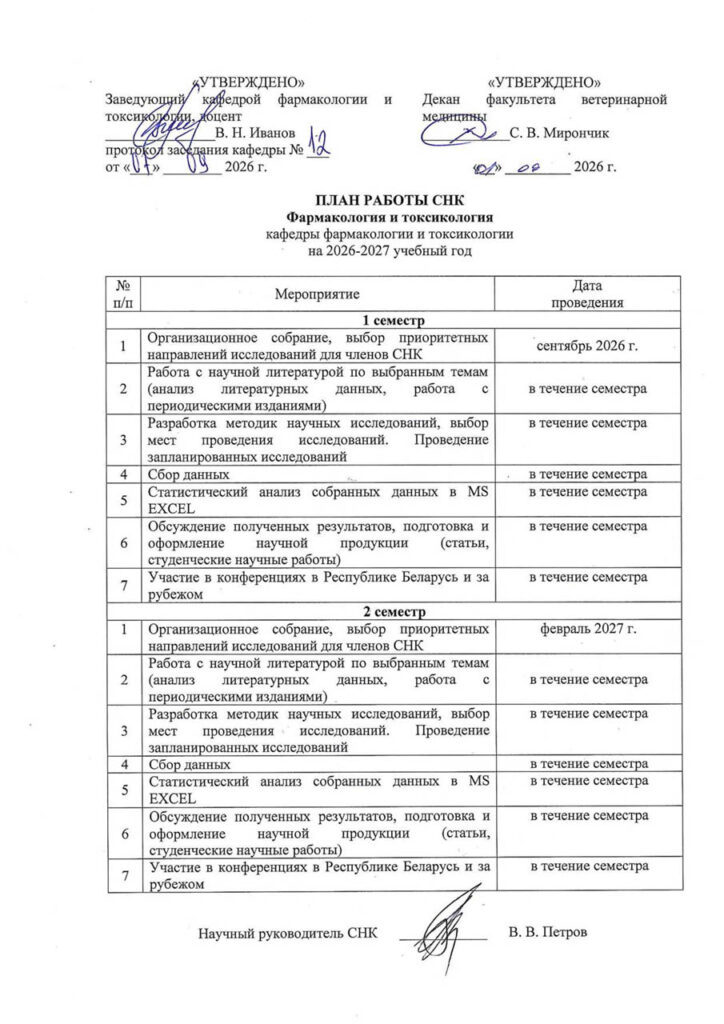 Plan raboty SNK-2026-09-08