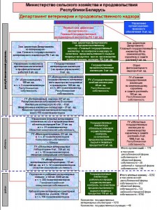 Схема. Организация ветеринарной службы Республики Беларусь