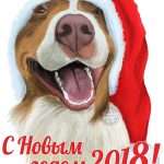 с  Новым Годом и Рождеством!