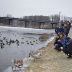 Студенты 1 курса приобретают навыки кормления дикой водоплавающий птицы