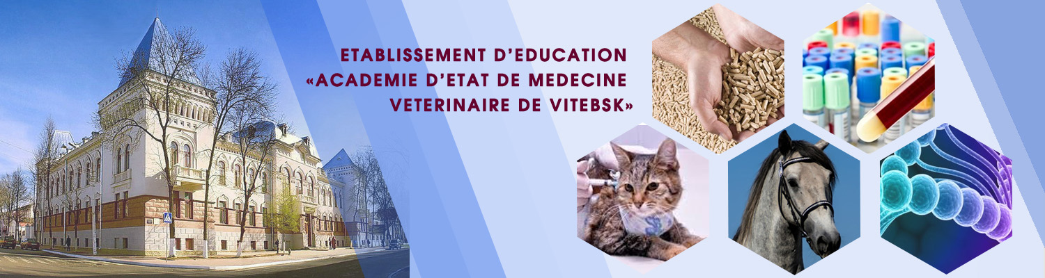 Etablissement d’education  «Academie d’etat de medecine veterinaire de Vitebsk»