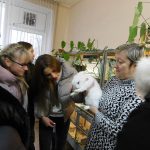 DSCN0848