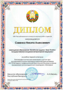 Diplom Savenko