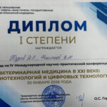 Diplomy ianvar 2026