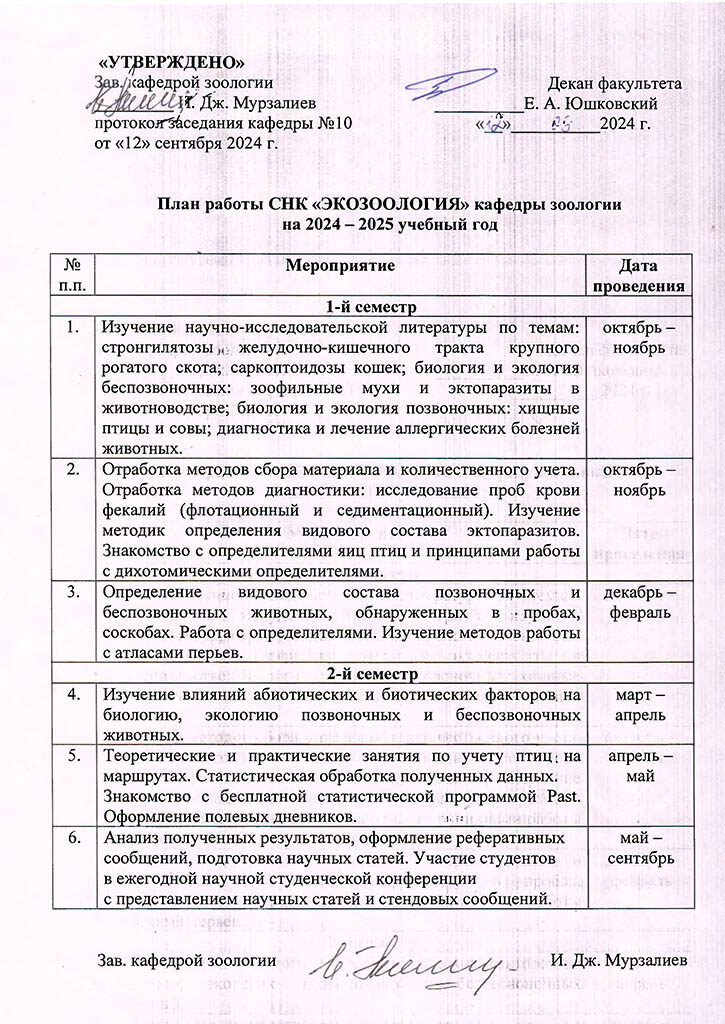 Plan SNK 24-25