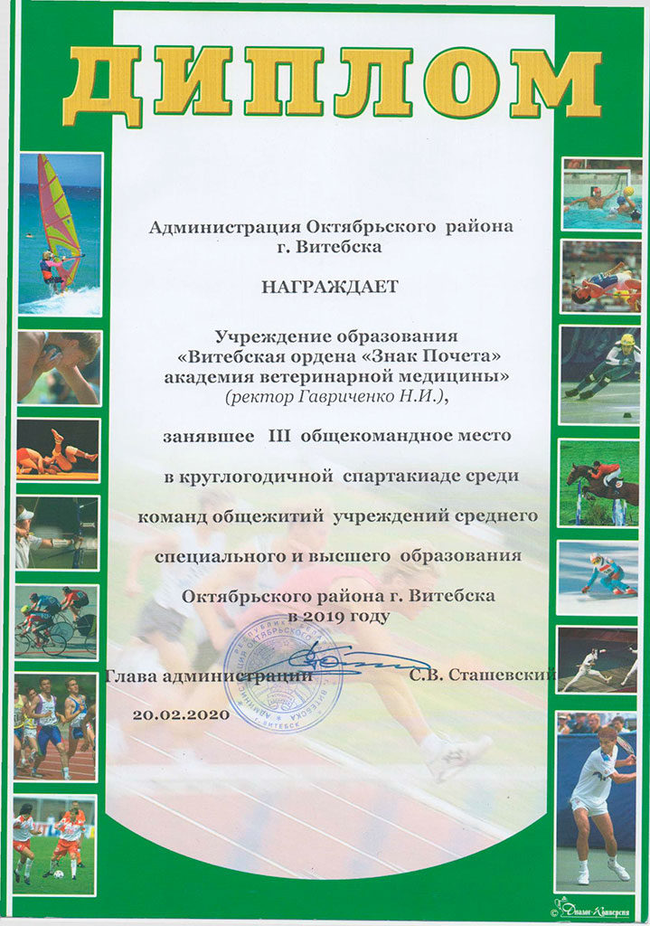 Поздравляем с III общекомандным местом в круглогодичной спартакиаде среди команд общежитий учреждений образования Октябрьского района г.Витебска в 2019 году