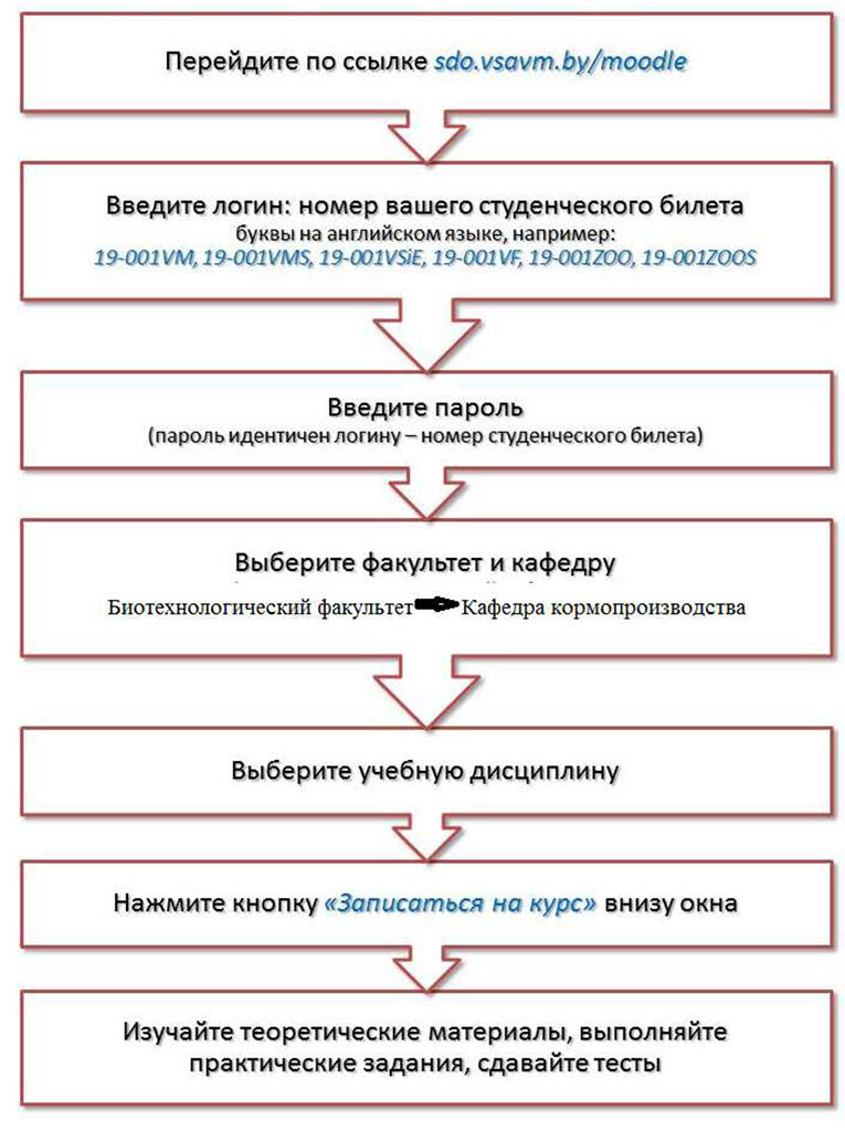 Individualnoe obuchenie studentov-23-11-17