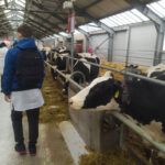 IMG-73d8977ddb7cc424ac380b762fcee3e4-V