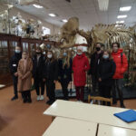 IMG-80cdf6914fdd147a971234f45fa2b957-V