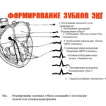 CSP8yD3BxPw