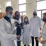 IMG-3866ca0838fd34b2f2da799d65e0b3cc-V