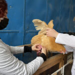 IMG-7ae1c4135198cc785053b475bf2e3799-V