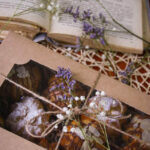 IMG-dec03b0c52d317e843465bb44955e790-V