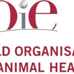 Всемирная организация здоровья животных предлагает принять участие в вебинаре