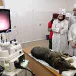 image-17-03-22-10-13-1
