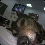 image-17-03-22-10-13-11