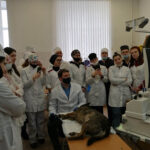 image-17-03-22-10-13