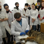 image-17-03-22-10-13-9