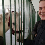 IMG-d778cc454fe052499d923bce9efd85de-V