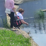 IMG-4ae76d5e398a2c1b5541b8f05d927386-V