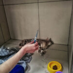IMG-023b53b506d53a952572bc3fdae2fefb-V