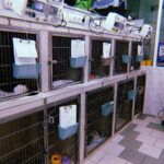 IMG-2fdd8b11d40334d140b1c75f0c6638b6-V