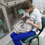 IMG-39d2409d7640acbaac890feca20a76de-V