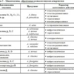 6. Risunok 4