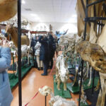 DSCN1180