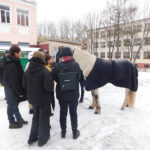 DSCN1186