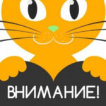 CC571EDE-C55C-4568-BE3B-282BDC880919