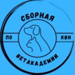 «Сборная Ветакадемии по КВН» в Могилёве