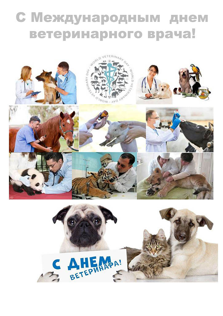 Mejdunarodnyi-den-veterinarnogo-vracha-na-sait-kartinki_page-0001