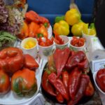 IMG_20231013_094314_939
