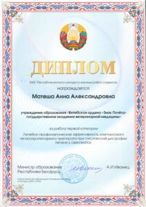 diplom 2