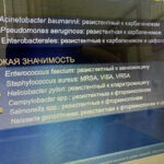 image-20-12-23-04-38-1