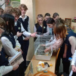 IMG_20240202_115317