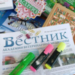 IMG_20240503_085358