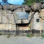 IMG_20240526_101724_386