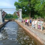 IMG_20240526_105206_331